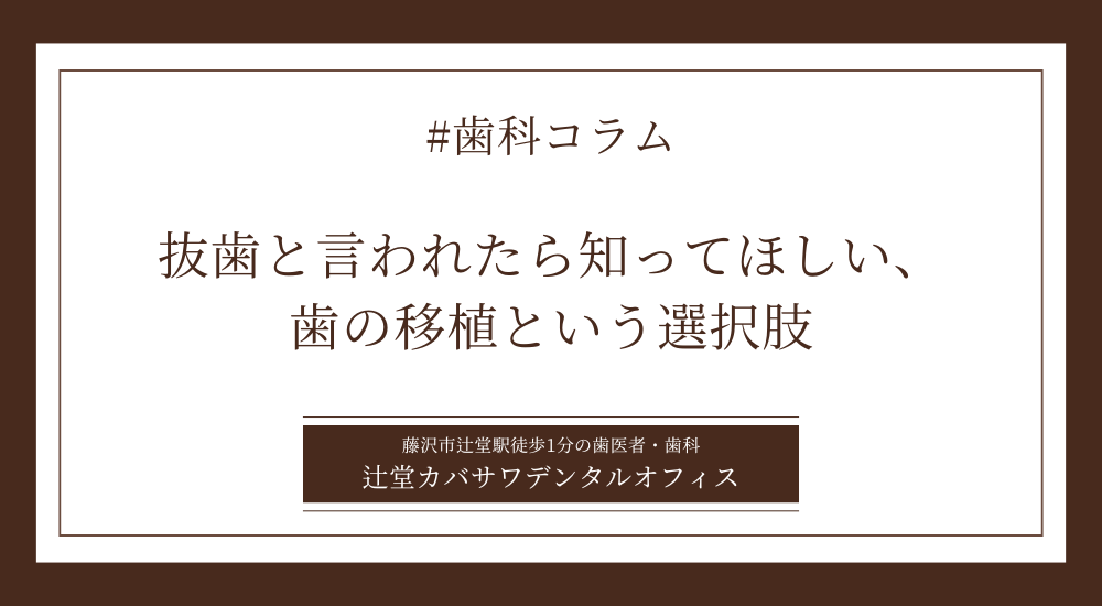 抜歯と言われたら知ってほしい、歯の移植という選択肢