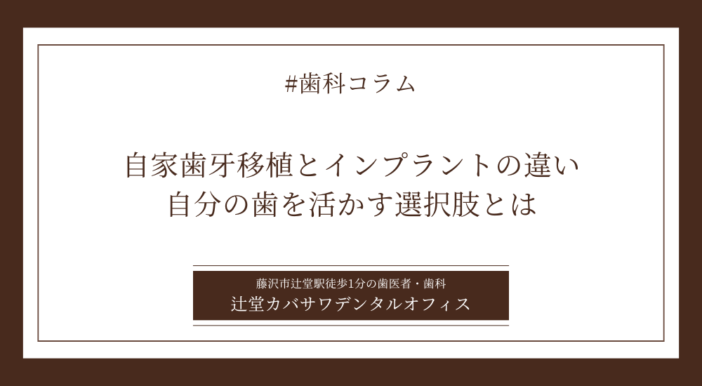 自家歯牙移植とインプラントの違い｜自分の歯を活かす選択肢とは