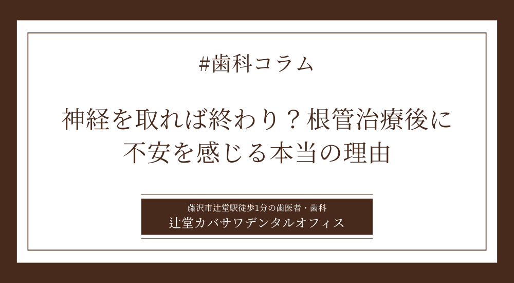 神経を取れば終わり？根管治療後に不安を感じる本当の理由
