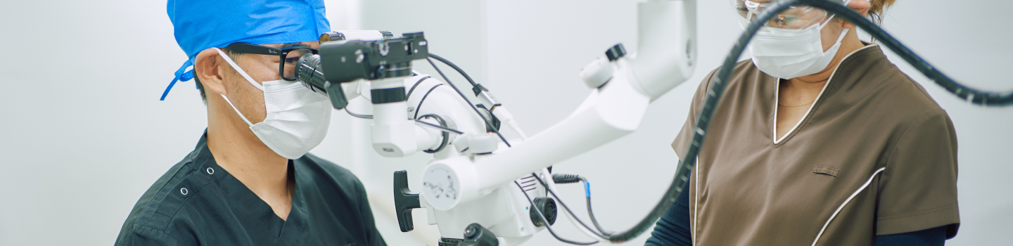 治療している歯科医師